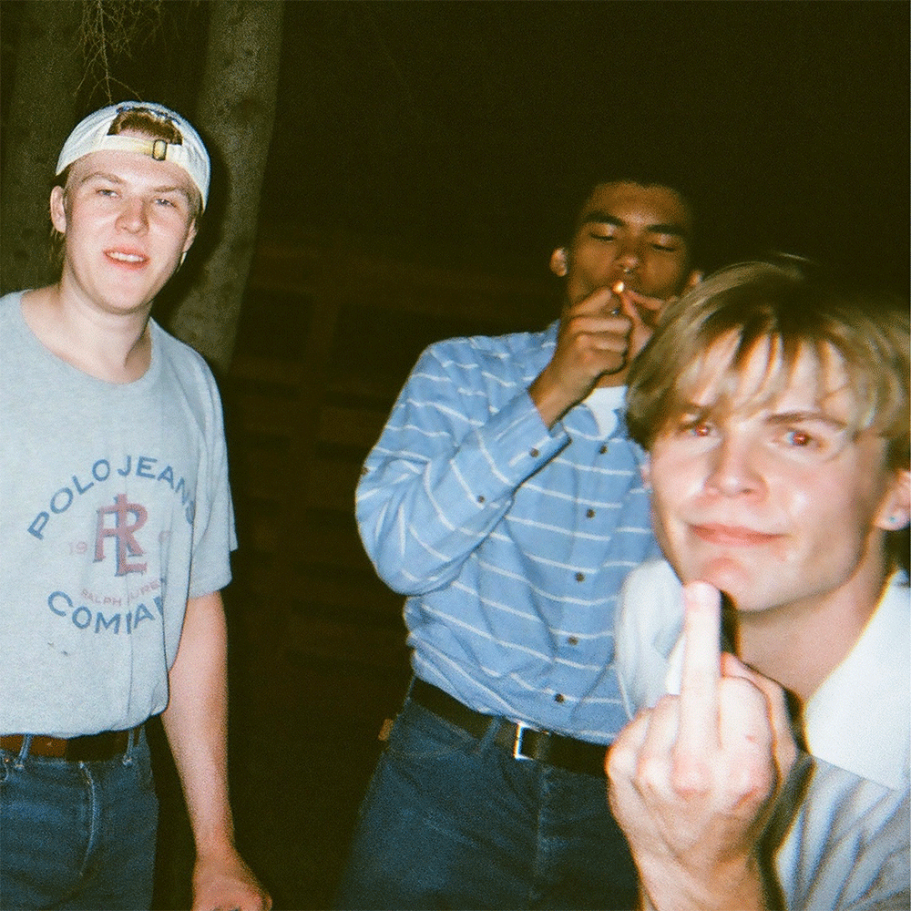 Bug Music 3 Album Cover